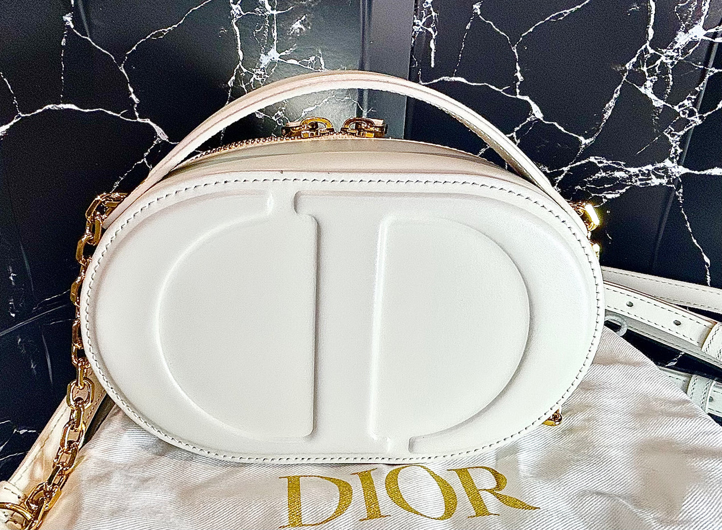 Dior Signature Oval Camera Bag in White Smooth Calfskin - Reluxe Finds